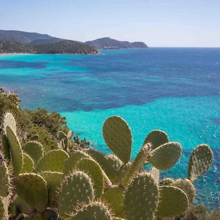 Apartment Archi Di Castello, Storia E Design 3br-wifi-ac *